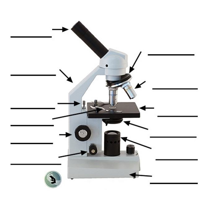 Science Set: Microscope Slides, Activity Book, Starter Kit