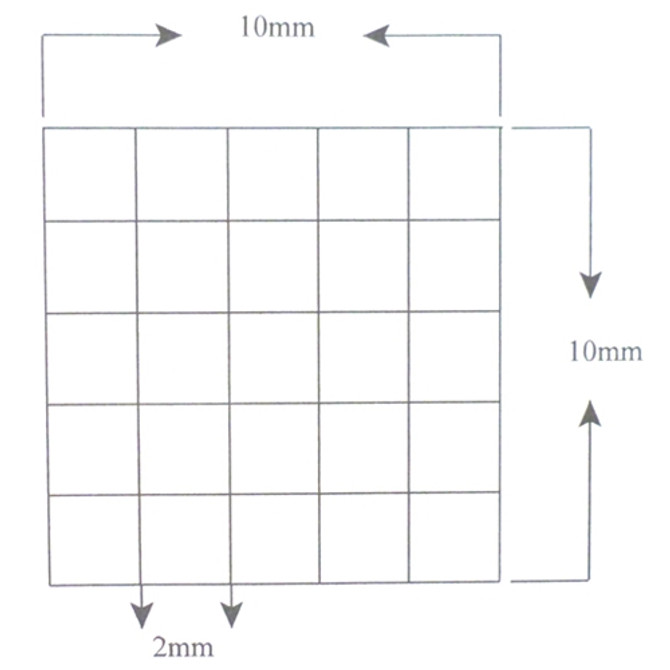 Reticle Grid 2mm Squares