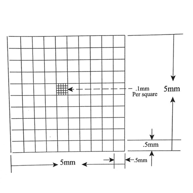 Reticle Whipple 0.5mm Squares 100 Total