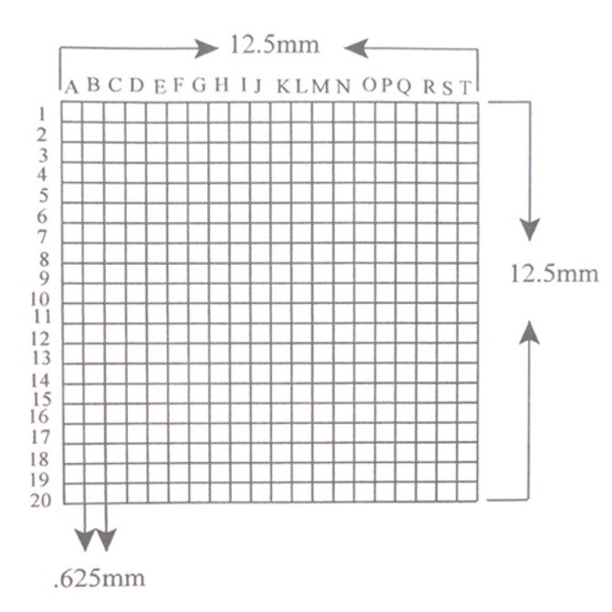 Reticle Grid 0.625mm Squares 400 Total Labeled