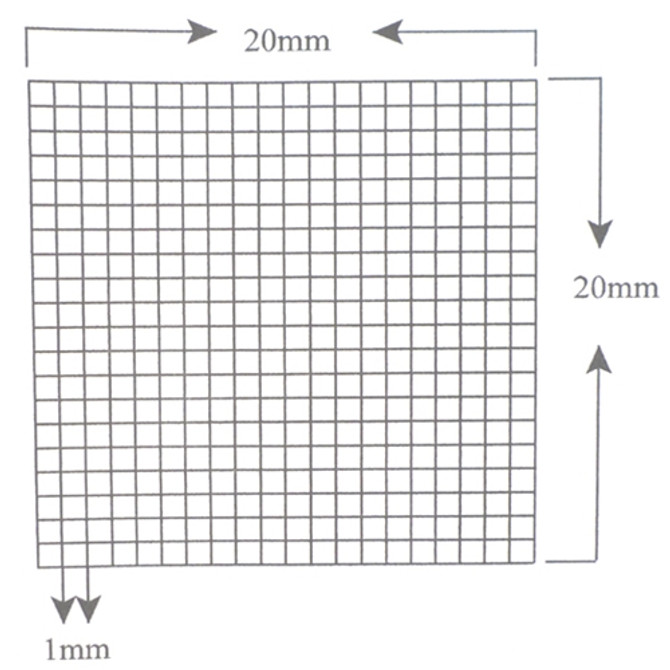 Reticle Grid 1mm Squares 400 Total