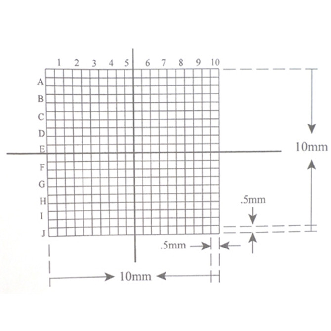 Reticle Grid 0.5mm Squares 400 Total Labeled