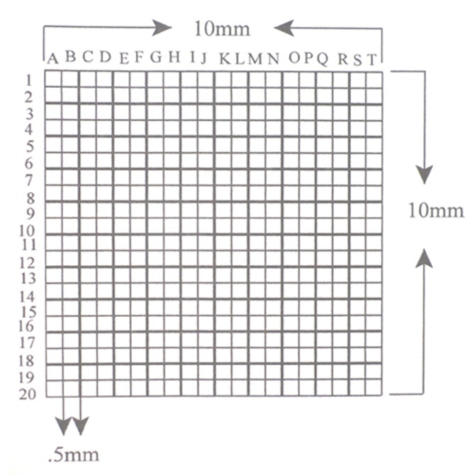 Reticle Grid 0.5mm Squares 400 Total Labeled Accented Lines