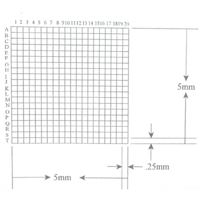 Reticle Grid 0.25mm Squares 400 Total Labeled