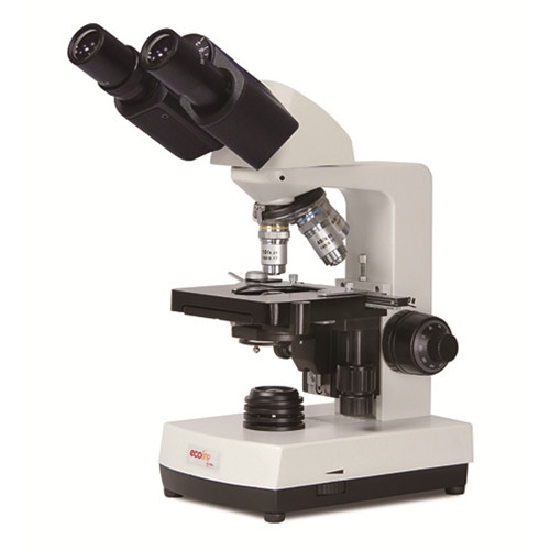 National Optical D-ELB Binocular Microscope Ecoline