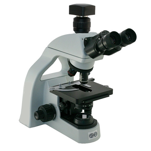 Digital 10mp Lab Microscope
