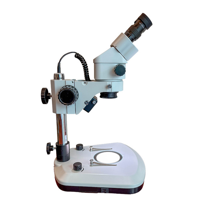 S6 Basic Stereo Zoom LED Microscope 7x-45x