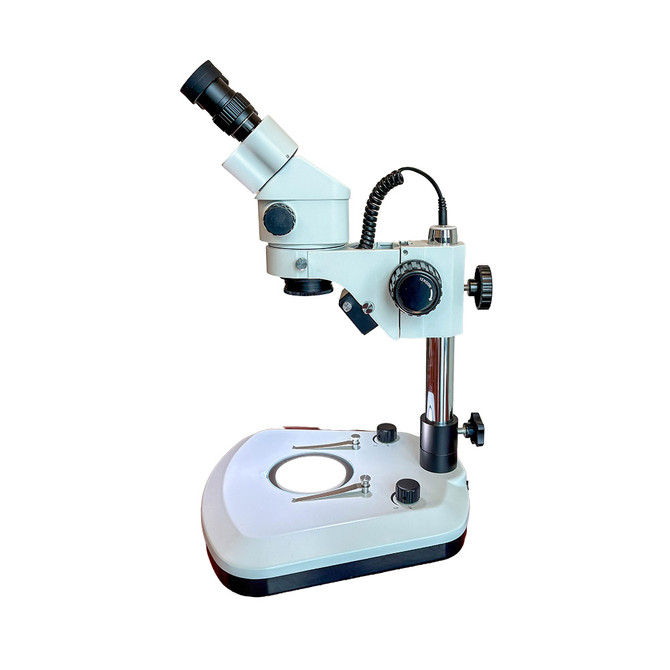 S6 Basic Stereo Zoom LED Microscope 10x-67x