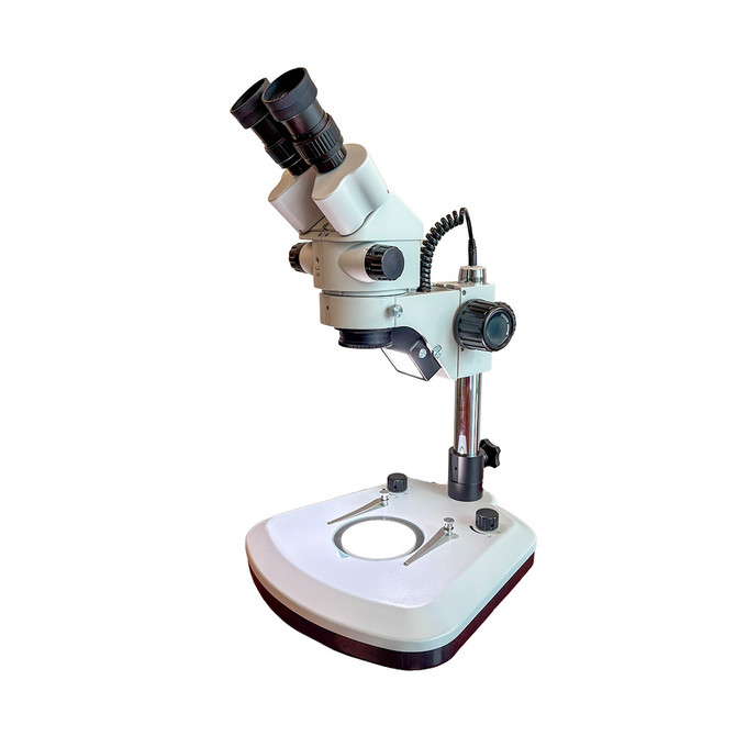 S6 Basic Stereo Zoom LED Microscope 10x-67x