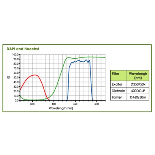 DAPI and Hoechst Fluorescence Microscope Filter Set