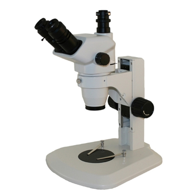 Petrographic Stereo Microscope