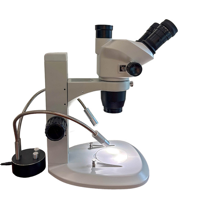 Petrographic Stereo Microscope