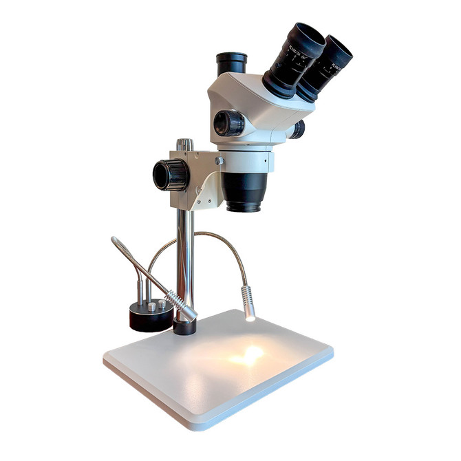 FZ8 Stereo Zoom Trinocular Microscope with Dual Pipe Lights