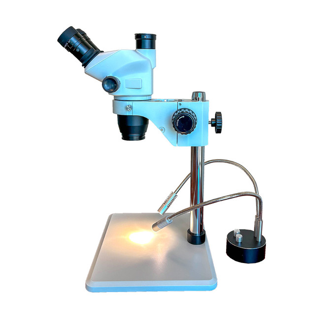 FZ8 Stereo Zoom Trinocular Microscope with Dual Pipe Lights