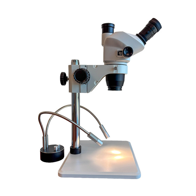 FZ8 Stereo Zoom Trinocular Microscope with Dual Pipe Lights