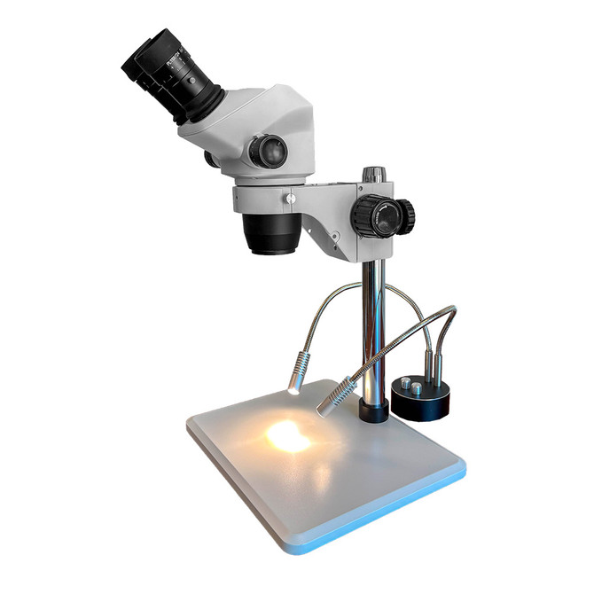 FZ8 Stereo Zoom Microscope with Dual Pipe Lights