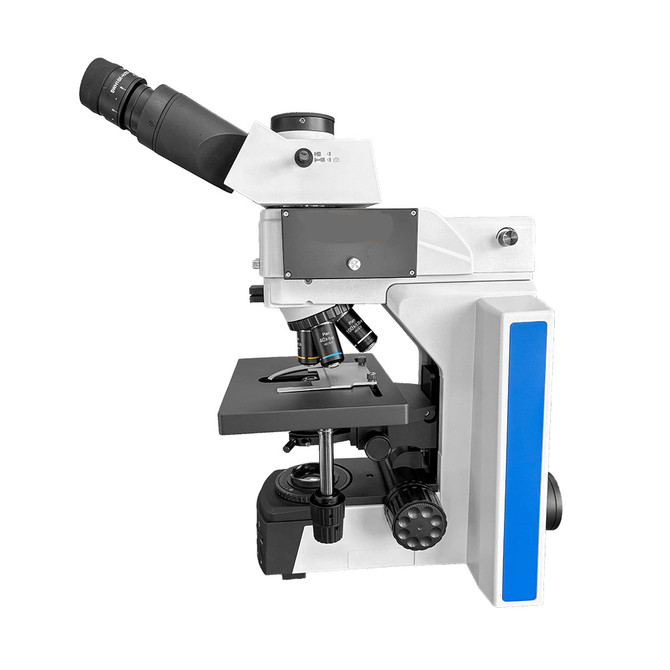 RB41 Fluorescence Microscope
