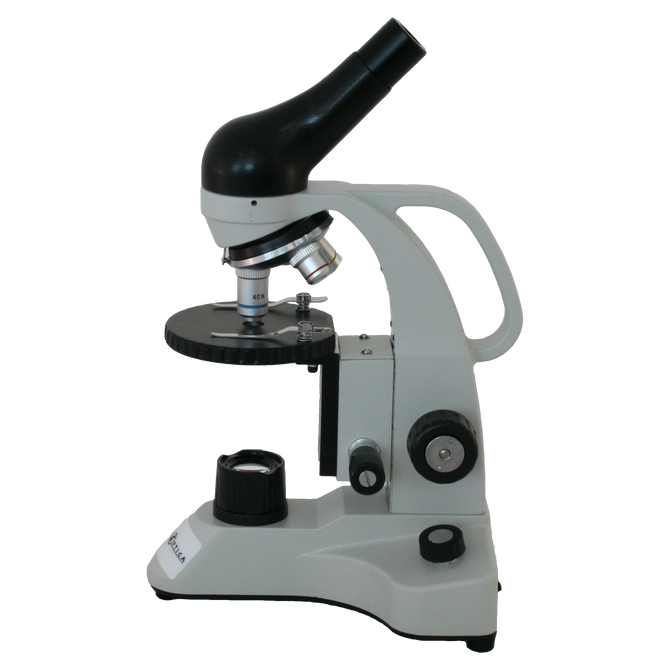 Richter Optica MDS1 Middle School Microscope