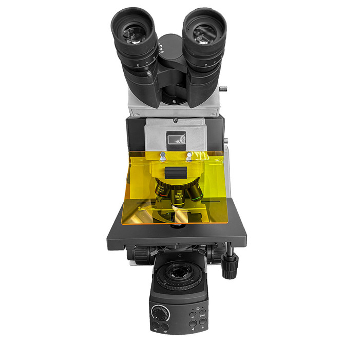 Rabies Diagnosis Testing Microscope