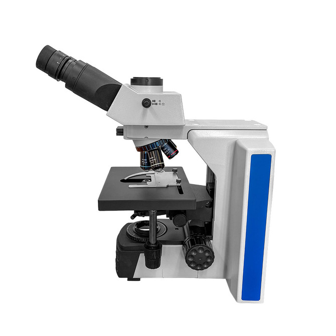 RB41 Gout Microscope trinocular head