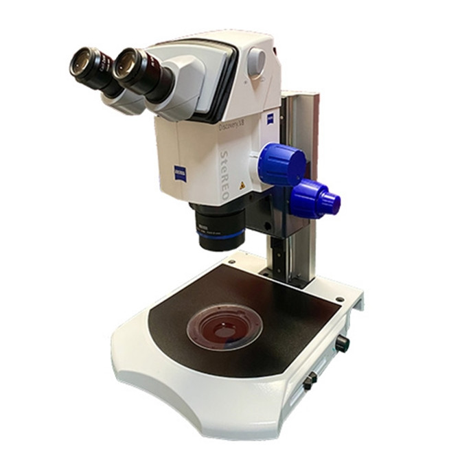 Zeiss SteREO Discovery V8 BF/DF Stereo Microscope