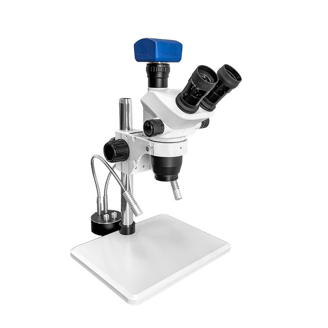 FZ8 Digital Stereo Zoom Microscope with Dual Pipe Lights Jenoptik Camera