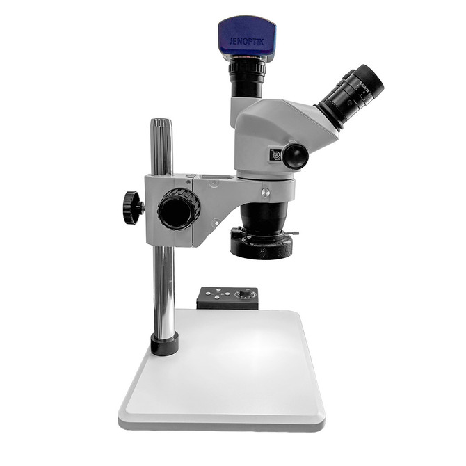 FZ8 Digital Stereo Zoom Microscope with Ring Light Jenoptik Camera