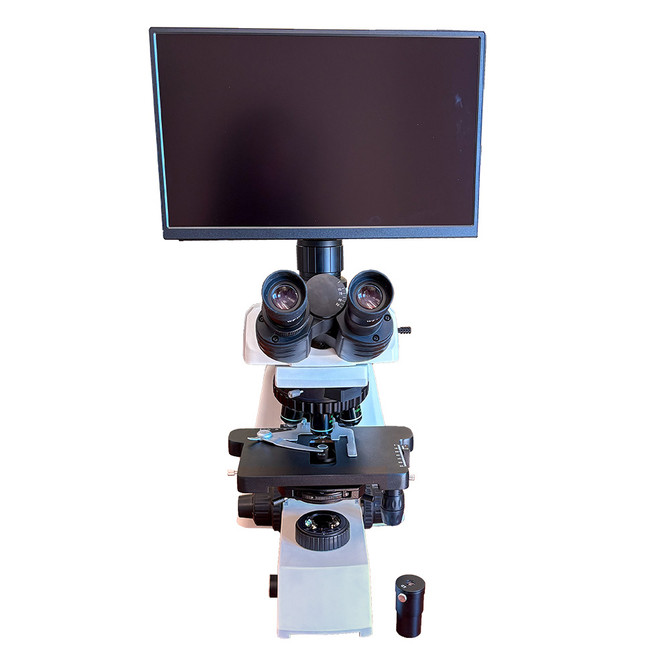Andrology Semen Analysis Digital HD Phase Microscope