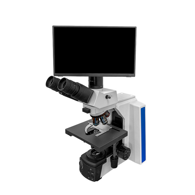 Advanced Andrology Semen Analysis Digital HD Phase Microscope