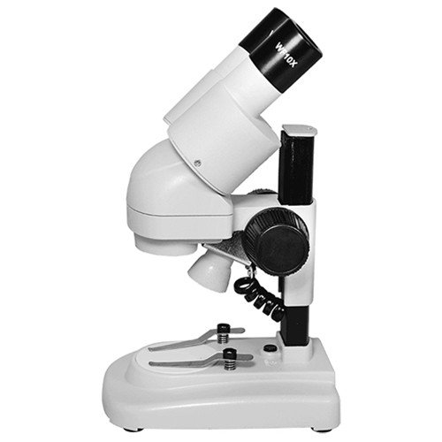 20x Single Magnification Stereo Microscope