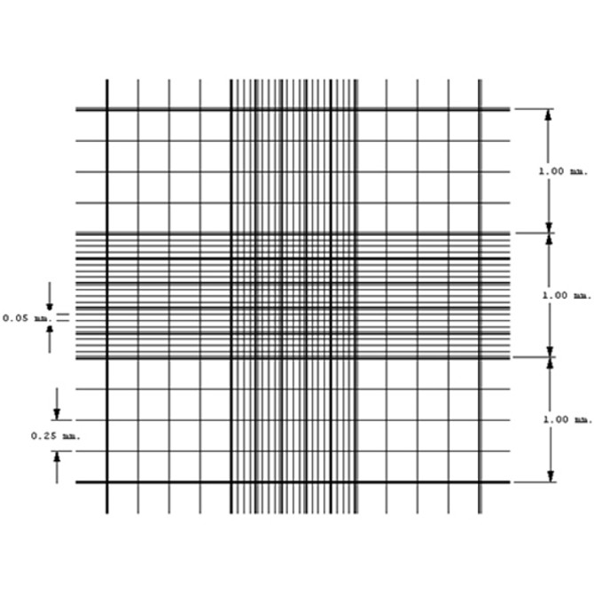 Petroff-Hausser Bacteria Counting Chamber