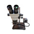 FZ8 Microsurgery Training Microscope with Ring Light