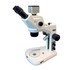 Motic SMZ-172 WiFi Digital Stereo Microscope with Single Spot