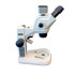 Motic SMZ-172 WiFi Digital Stereo Microscope with Single Spot