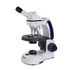 Swift M3604C-4 Cordless Compound Microscopes