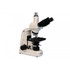 Meiji MT6530 Trinocular Asbestos Microscope for Fiber Counting