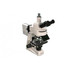 Meiji MT6200CL LED Epi-Fluorescent Laboratory Microscopes