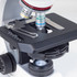 Motic Panthera C2 Digital Phase Contrast Microscope Motic Panthera C2 Digital Phase Contrast Microscope