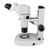 Ergonomic Common Main Objective Stereo Zoom Microscope 8x-80x on Lighted Stand