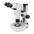 Ergonomic Common Main Objective Stereo Zoom Microscope 8x-80x on Lighted Stand