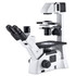 Motic AE31 Inverted Biological Microscope