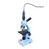 Richter Optica HS-1D 5mp Digital Dual Head Student Microscope with Mechanical Stage