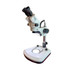 S6 Basic Stereo Zoom LED Microscope 10x-67x