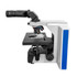 RB41 Ergonomic Binocular Hematology Lab Microscope