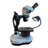 FZ8 Binocular Gemological Microscope