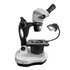 FZ8 Binocular Gemological Microscope