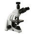 Richter Optica UX1D Digital 10mp Plan Achro Microscope