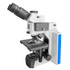 RB41 Fluorescence Microscope