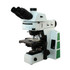 RB50 Fluorescence Microscope