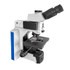 Rabies Diagnosis Testing Microscope